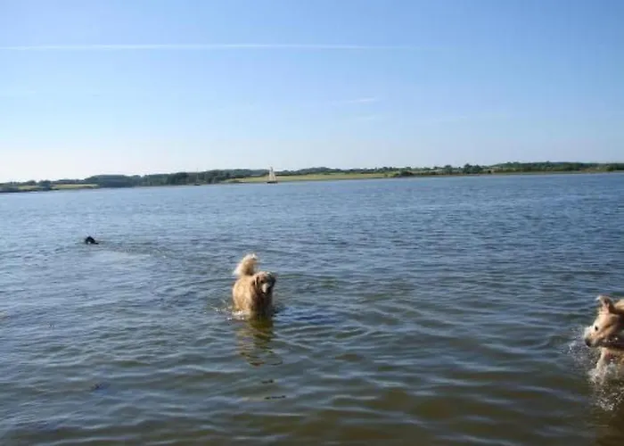 In Mit Grossem Garten By Interhome Vakantiehuis Winnemark